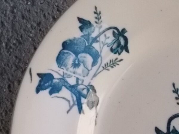 Assiette "Pensées", en faïence Ivoire à motif floral en camaïeu de Bleu. De 1890/1912. de la faïencerie de Salins les Bains.