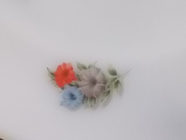 Assiette plat "Liseron", en verre Opale, à motif Floral. De la Marque Arcopal France