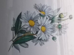 Cafetière filtre en tôle émaillée Blanche, décors floral de Bouquet de Marguerite, et poignées en Bakélite Noire. De S.E.M Japy