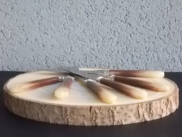 Couteaux de table en résine de France Inox