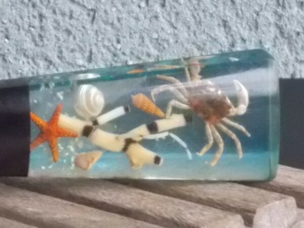 Décapsuleur manche en Résine avec inclusion de Coquillages, Etoile de Mer, Crabe, plantes aquatiques et Paillettes. En Inox 18/8 de la Marque Acero