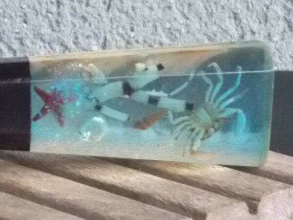Décapsuleur manche en Résine avec inclusion de Coquillages, Etoile de Mer, Crabe, plantes aquatiques et Paillettes. En Inox 18/8 de la Marque Acero