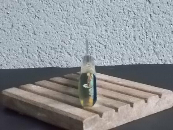Décapsuleur manche en Résine avec inclusion de Coquillages, Etoile de Mer, Crabe, plantes aquatiques et Paillettes. En Inox 18/8 de la Marque Acero