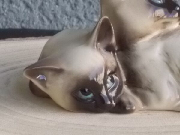 Duo de Chat Siamois, en céramique Beige et Marron, Bleu pour les yeux. Posture couché. De la Manufacture J. Beswick Ltd